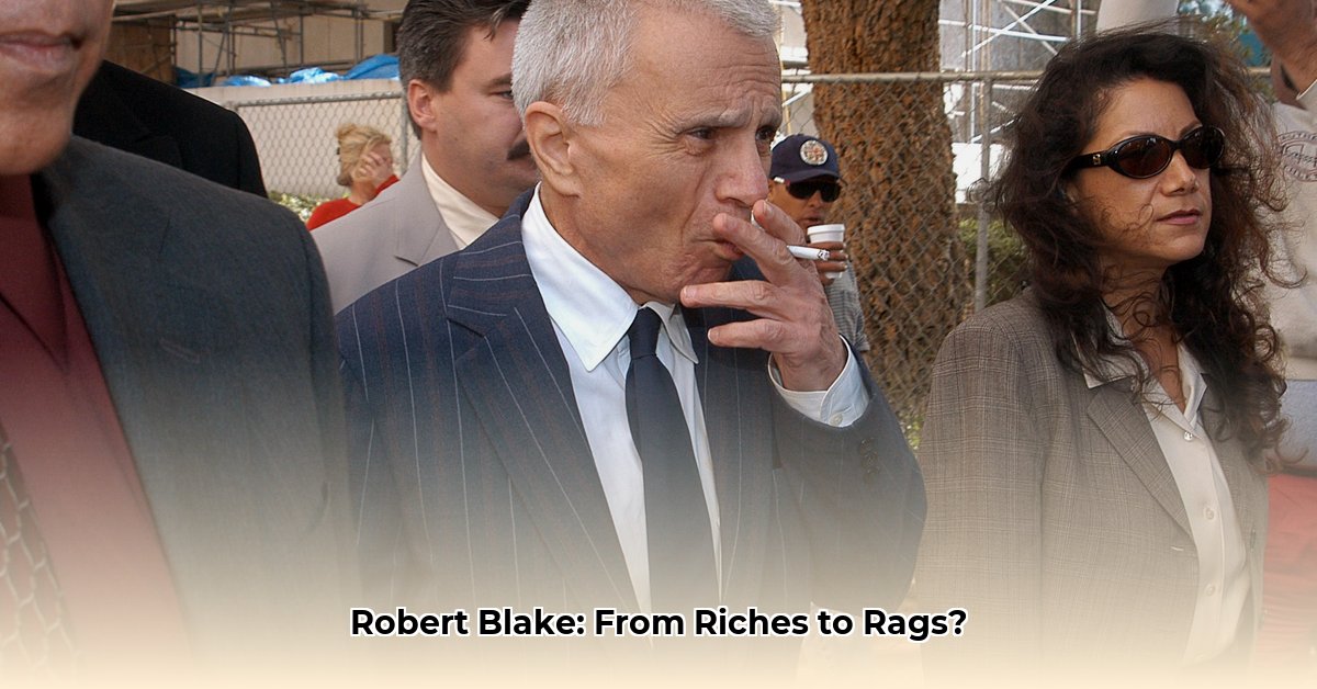 net-worth-of-robert-blake